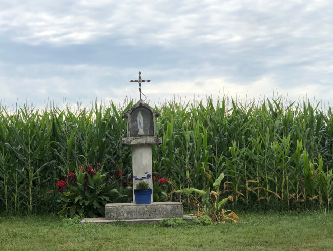 Photos sainte Vierge  : 